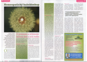 Homeopaticky-kaleidoskop-dvojstr